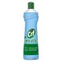 Limpador Especialista Cif Limpa Vidros Squeeze 500ml