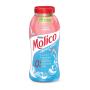 Iogurte Molico Morango 170G