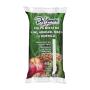 Polpa de Fruta De Marchi Kiwi Abacaxi Com Menta 100g