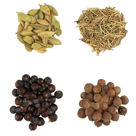 Kit Especiarias para Gin Tônica BR Spices 4 Unidades 10g Cada - Imagem em destaque