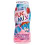 Iogurte Yuc Mix tutti frutti 180g