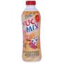 Iogurte Yuc Mix pêssego 850g