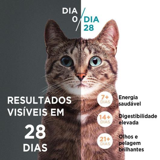 Ração PURINA ONE Gatos Filhotes Frango e Carne 500g - Imagem em destaque