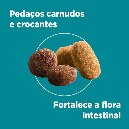 Ração PURINA ONE Gatos Filhotes Frango e Carne 500g - Imagem em destaque