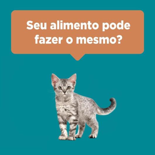 Ração PURINA ONE Gatos Filhotes Frango e Carne 500g - Imagem em destaque