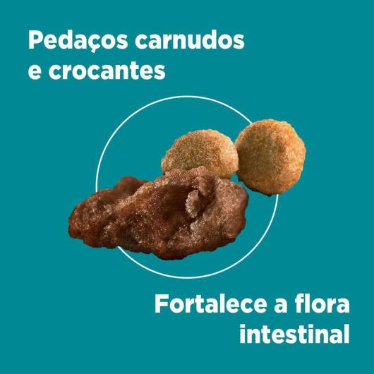 Ração PURINA ONE Gatos Adultos Frango e Carne 500g - Imagem em destaque