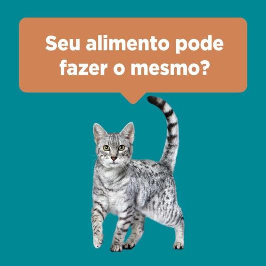 Ração PURINA ONE Gatos Adultos Frango e Carne 500g - Imagem em destaque