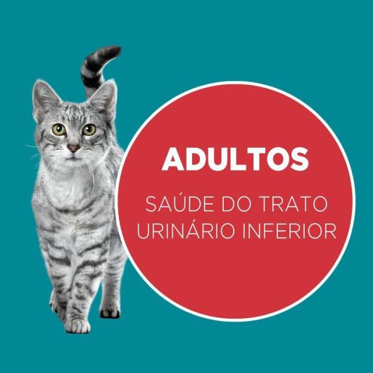 Ração PURINA ONE Gatos Adultos Frango e Carne 500g - Imagem em destaque