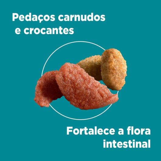 Ração PURINA ONE Gatos Adultos Frango e Salmão 500g - Imagem em destaque