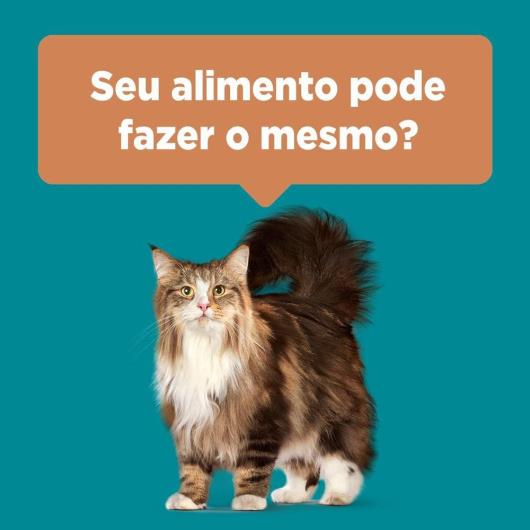 Ração PURINA ONE Gatos Adultos Frango e Salmão 500g - Imagem em destaque