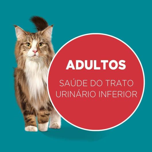 Ração PURINA ONE Gatos Adultos Frango e Salmão 500g - Imagem em destaque
