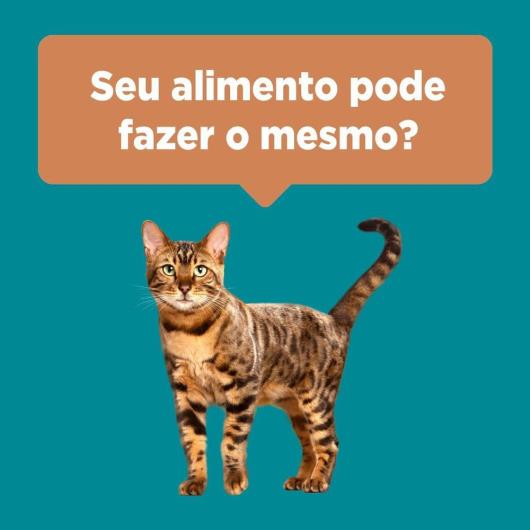 NESTLÉ® PURINA® ONE® Ração Seca para gatos adultos castrados todas as raças Frango e Salmão 2kg - Imagem em destaque