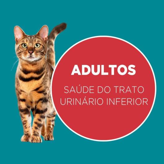 NESTLÉ® PURINA® ONE® Ração Seca para gatos adultos castrados todas as raças Frango e Salmão 2kg - Imagem em destaque