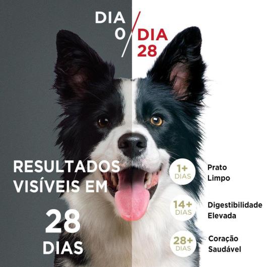 Alimento para Cães filhote Purina One frango e carne 700g - Imagem em destaque