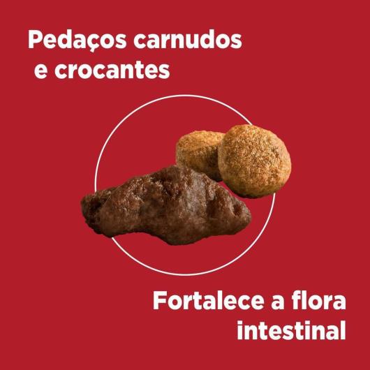 Alimento para Cães filhote Purina One frango e carne 700g - Imagem em destaque