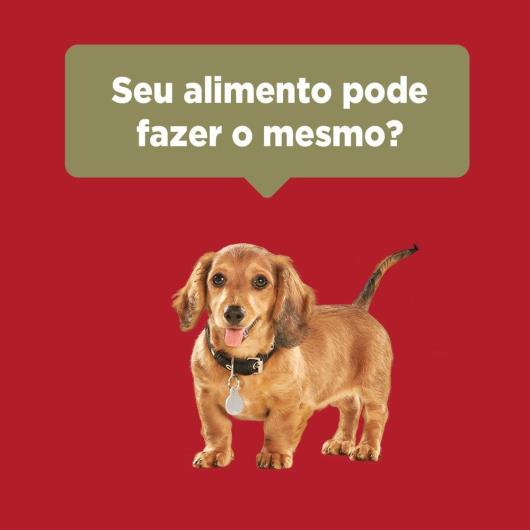 Alimento para Cães filhote Purina One frango e carne 700g - Imagem em destaque