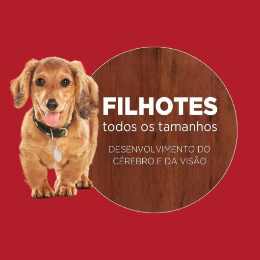 Alimento para Cães filhote Purina One frango e carne 700g - Imagem em destaque