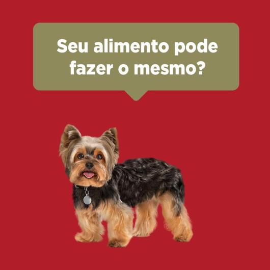 Ração PURINA ONE Cães Adultos Minis e Pequenos Frango e Carne 700g - Imagem em destaque