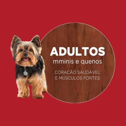 Ração PURINA ONE Cães Adultos Minis e Pequenos Frango e Carne 700g - Imagem em destaque