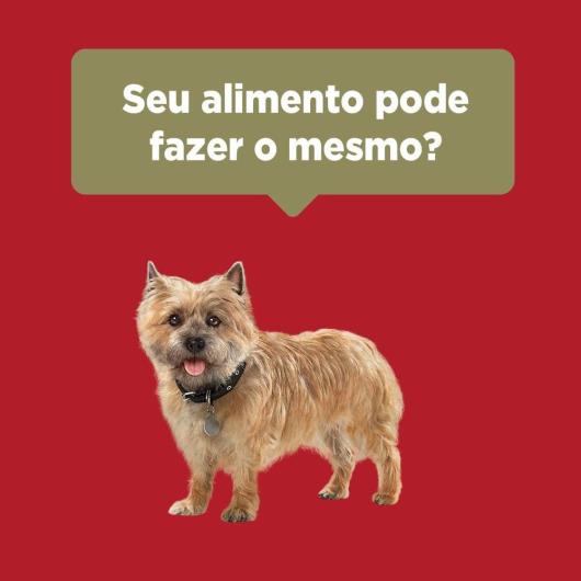 Ração PURINA ONE Cães Adultos Minis e Pequenos Frango e Cordeiro 700g - Imagem em destaque