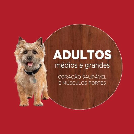 Ração PURINA ONE Cães Adultos Minis e Pequenos Frango e Cordeiro 700g - Imagem em destaque