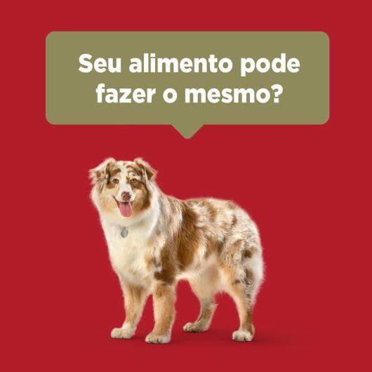 Alimento para Cães adulto médio e grande Purina One frango e carne 2kg - Imagem em destaque