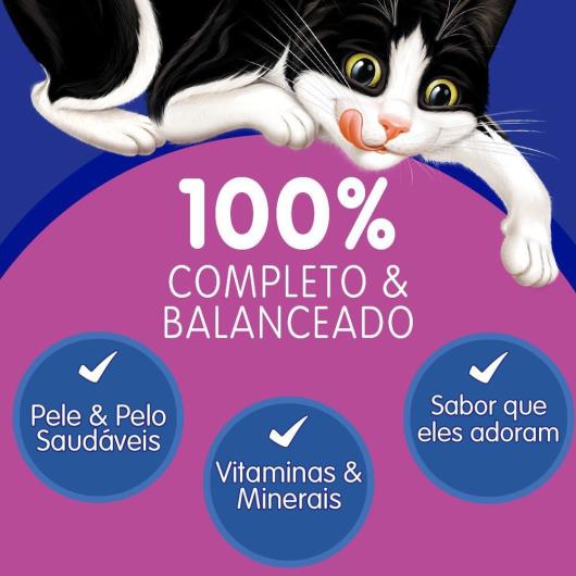 NESTLÉ PURINA FELIX FANTASTIC MIX Ração Úmida para Gatos Adultos Salmão e molho sabor Carne 85g - Imagem em destaque