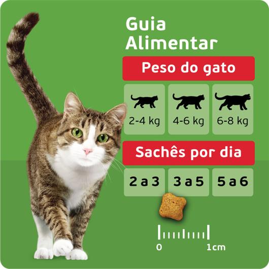 Alimento para Gatos Adultos Mix de Carnes Kitekat Pacote 900g - Imagem em destaque