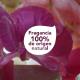 Shampoo Dove Poder das Plantas Nutrição + Gerânio Frasco 300ml - Imagem 7891150081048-7.jpg em miniatúra
