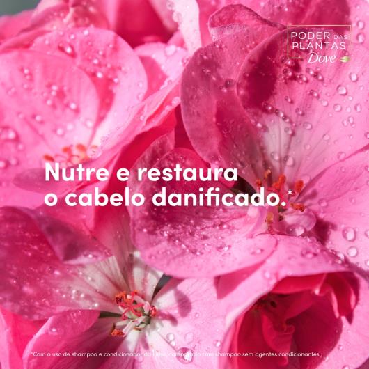 Dove - Imagem em destaque