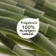 Shampoo Dove Poder das Plantas Força + Bambu Frasco 300ml - Imagem 7891150081062-6.jpg em miniatúra