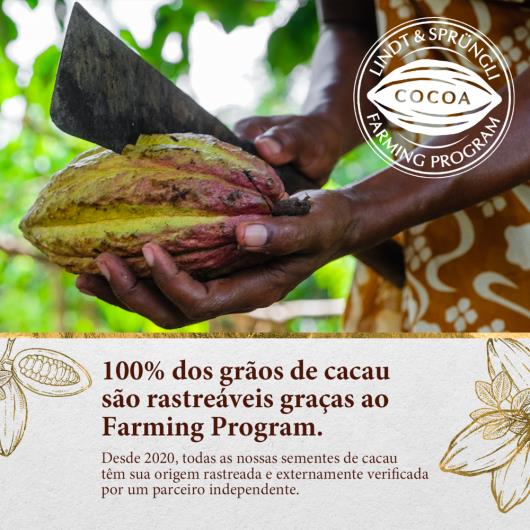 Chocolate Lindt Nocciolatte Ao Leite com Avelãs 35g - Imagem em destaque