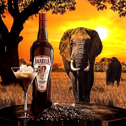 Licor Fino Ethiopian Coffee Amarula Garrafa 750ml - Imagem em destaque