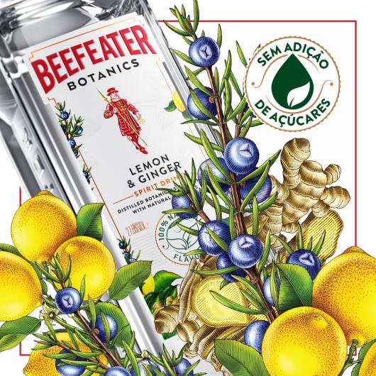 Beefeater Botanics Limão e Gengibre 750 ml - Imagem em destaque