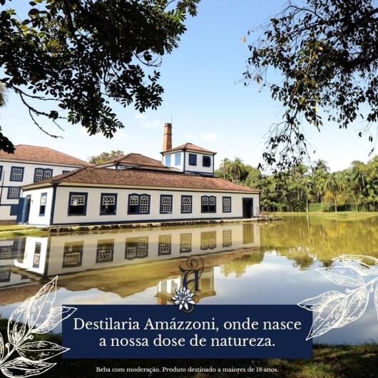 Gin Amázzoni Garrafa 750ml - Imagem em destaque