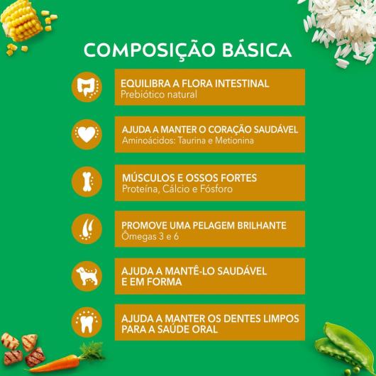 NESTLÉ® PURINA® DOG CHOW® Extralife® Ração Seca para Cães Adultos Minis e Pequenos Carne Frango e Arroz 10,1kg - Imagem em destaque