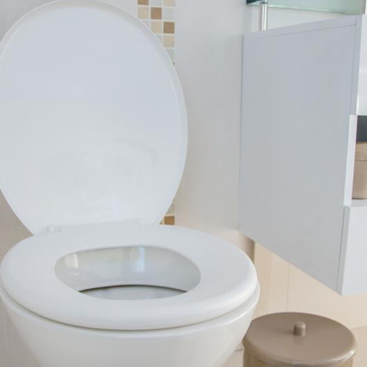 Assentos Sanitário Astra Soft - Branco 1 Unidade - Imagem em destaque