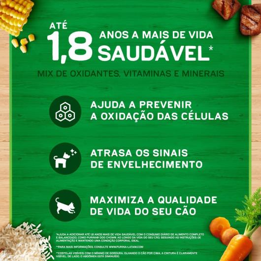 NESTLÉ® PURINA® DOG CHOW® Extralife® Ração Seca para Cães Filhotes Minis & Pequenos Frango e Arroz 1kg - Imagem em destaque