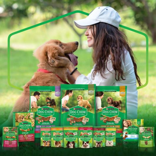 NESTLÉ® PURINA® DOG CHOW® Extralife® Ração Seca para Cães Filhotes Minis & Pequenos Frango e Arroz 1kg - Imagem em destaque