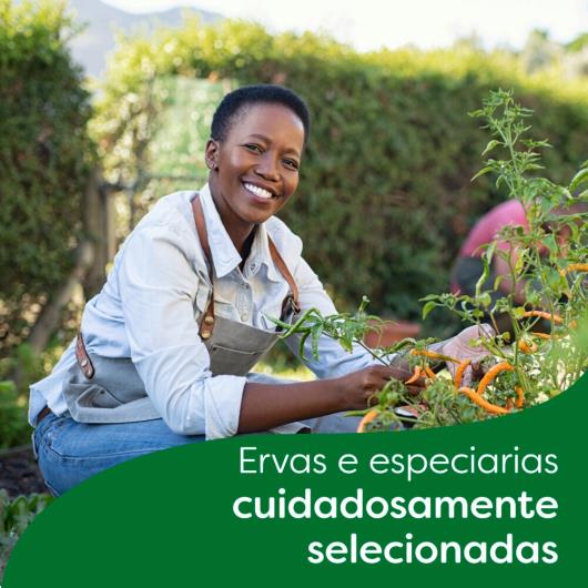 Caldo zero sal galinha Knorr 96g - Imagem em destaque