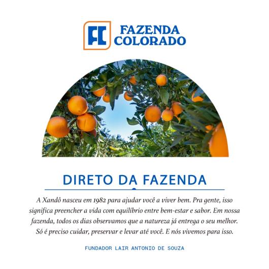 Suco de Laranja Integral Xandô 100% Suco Sem adição de Açúcar Aditivos e Conservantes Selo Kosher Sem Gluten 1,5L - Imagem em destaque