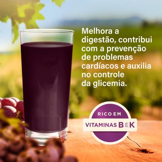 Suco de Uva Xandô 100% Suco Sem adição de Açúcar Aditivos e Conservantes Sem Gluten 1.5L - Imagem em destaque