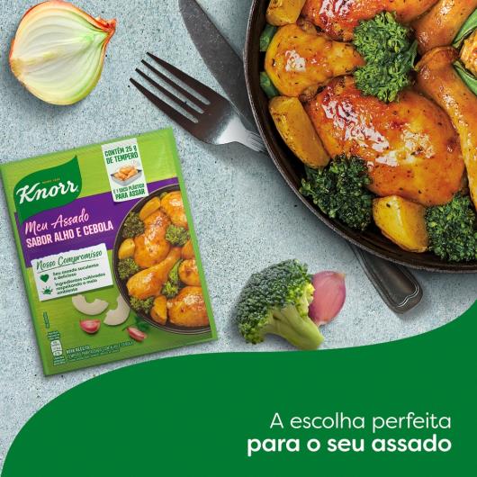 Tempero Pó Alho e Cebola Knorr Meu Assado Pacote 25g - Imagem em destaque