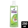 Sabonete Líquido Antibacterial Erva-Doce Rexona Frasco 250ml