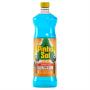 Desinfetante Uso Geral Flor de Mandacaru Pinho Sol Frasco 1l