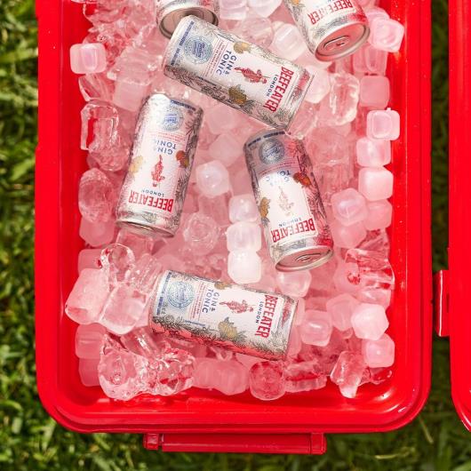 Drink Pronto Beefeater Gin e Tônica Antarctica 269ml Lata - Imagem em destaque