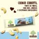 Biscoito Cookie Vegano Castanhas Brasileiras Cobertura Cacau Mãe Terra Choco Pacote 80g - Imagem 7891150089167-6.jpg em miniatúra