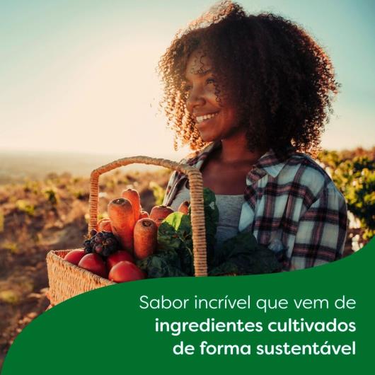 Tempero Pó para Carnes Knorr Pacote 50g 10 Unidades - Imagem em destaque