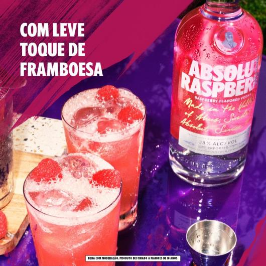 Vodka Absolut Raspberri 750 ml - Imagem em destaque