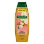 Sabonete Líquido Óleo Nutritivo Palmolive Naturals Frasco 650ml Tamanho Família